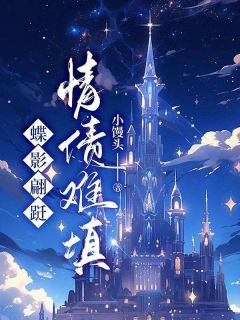 主角林展许宁妍小说爆款蝶影翩跹，情债难填完整版小说-二筒文学网