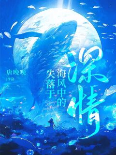 精彩小说林杳沈清岩失落于海风中的深情全文目录畅读-二筒文学网