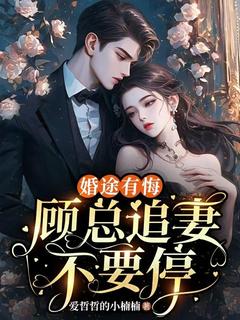 精品小说婚途有悔，顾总追妻不要停全文目录畅读-二筒文学网