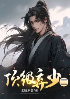 林云顾倾北辰本尊小说全章节最新阅读-二筒文学网