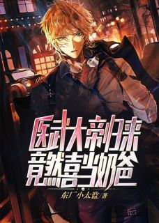 医武大帝归来，竟然喜当奶爸？萧江苏如馨全章节在线阅读