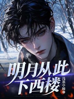 陆时宴许知夏主角的小说完结版明月从此下西楼全集