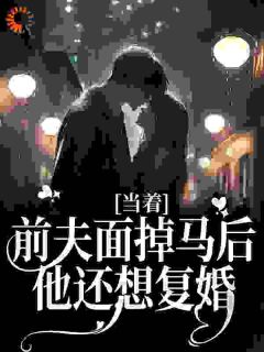 快手沈曼胭陆晟风主角的小说全本章节大结局