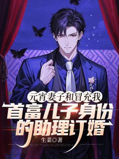 爆款小说元宵妻子和冒充我首富儿子身份的助理订婚主角郑知雅蒋峰全文在线完本阅读