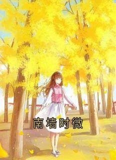 时微商砚南墙时微全文(时微商砚)章节免费阅读