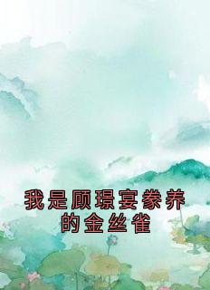 我是顾璟宴豢养的金丝雀完整版免费阅读，秦丝丝顾璟宴小说大结局在哪看-二筒文学网
