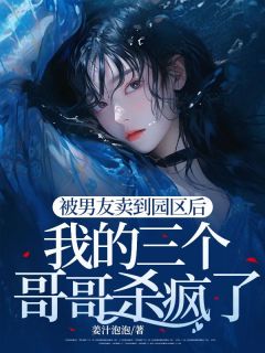 陈泽任倩被男友卖到园区后，我的三个哥哥杀疯了小说完整版-二筒文学网