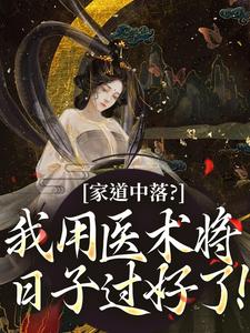 高质量小说家道中落？我用医术将日子过好了！在线试读