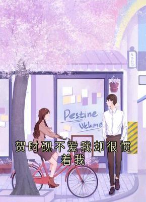 主角安意贺时砚的小说作者佚名-二筒文学网