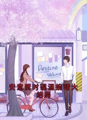 主角安意贺时砚小说，安意贺时砚温婉晴大结局免费阅读全文-二筒文学网