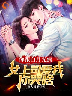 抖音小说你跟白月光疯，女上司爱我你哭啥主角叶盛林美盈全文小说免费阅读