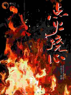 点火烧心任灯随轲大结局小说全章节阅读