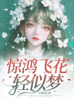 惊鸿飞花轻似梦陆星辰林淼by信阳侯免费看