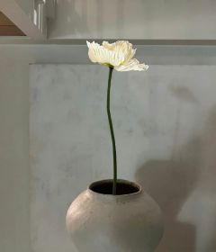 抖音重生到姐姐抛弃指腹为婚对象这天小说章节阅读-二筒文学网