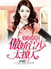 好看的宠妻成瘾：傲娇江少太撩人小说-宠妻成瘾：傲娇江少太撩人最新章节阅读