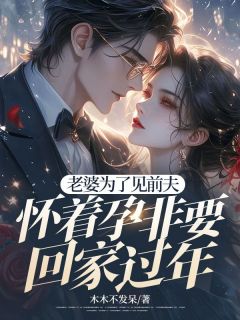 老婆为了见前夫，怀着孕非要回家过年小说免费版阅读抖音热文