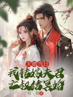 （全本）大婚当日，我转嫁夫君亡叔结冥婚主角云念沈墨沈维舟全文目录畅读