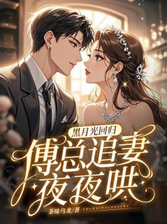 黑月光回归，傅总追妻夜夜哄秦桉傅曜庭全章节目录免费阅读-二筒文学网