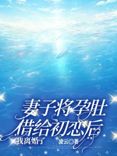 高质量小说妻子将孕肚借给初恋后，我离婚了在线试读-二筒文学网