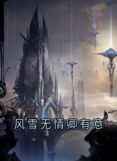 风雪无情卿有意小说苍渊慕卿免费阅读-二筒文学网