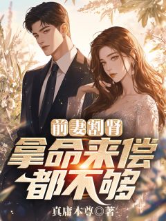 前妻割肾，拿命来偿都不够免费阅读全文，主角陈阳刘清欢小说-二筒文学网