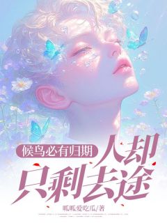 候鸟必有归期，人却只剩去途在哪免费看，柳如烟柳傲天沈幼楚小说章节目录阅读