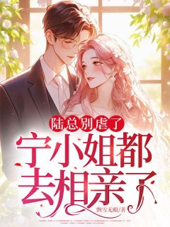 陆总别虐了，宁小姐都去相亲了by飘雪无痕(宁安陆慎川)未删节免费阅读-二筒文学网