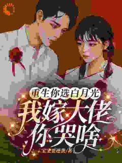优质新书重生你选白月光，我嫁大佬你哭啥最新章节小说全文阅读