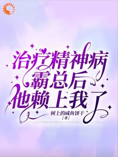治疗精神病霸总后他赖上我了叶青段盛全章节在线阅读-二筒文学网