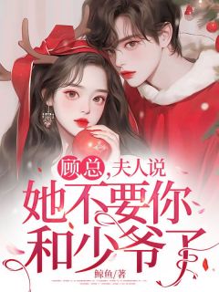 抖音许念顾云琛小说叫什么名字