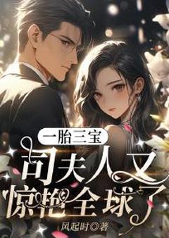 一胎三宝:司夫人又惊艳全球了免费小说作者风起时全文阅读