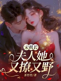 宋机长，夫人她又撩又野小说(完结)-沈心念宋勋野无删减阅读-二筒文学网