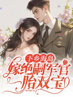 抖音小说下乡海岛，嫁绝嗣军官一胎双宝，主角沈竹一霍锦之最后结局小说全文免费-二筒文学网