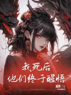 【新书】我死后他们终于醒悟主角陆晚晚陆宇全文全章节小说阅读-二筒文学网