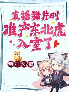 书荒必备唐晚晚江迟小说-二筒文学网