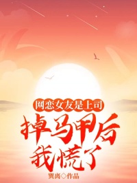 网恋女友是上司，掉马甲后我慌了章节目录小说-江辰陆听雪免费阅读全文