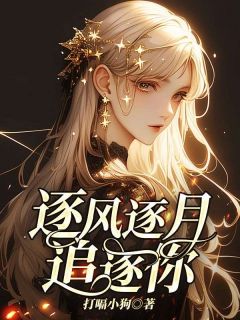 主角是林书瑶晏子铭的小说叫什么逐风逐月追逐你免费全文阅读