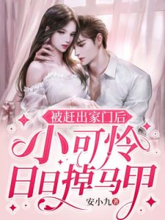 【新书】遇上权势滔天的三爷主角苏杳杳霍司夜全文全章节小说阅读-二筒文学网