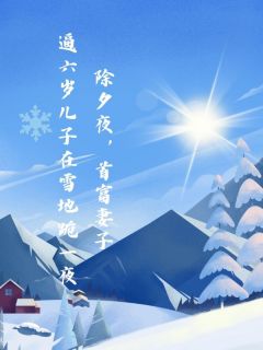 除夕夜，首富妻子逼六岁儿子在雪地跪一夜林晚依安安顾承彦by文弱小女孩免费看-二筒文学网