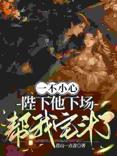 一不小心，陛下他下场帮我宅斗了by君山一点青小说完结版在线阅读