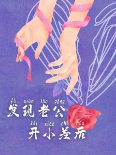 发现老公开小差后江城盛敏by艾卡西亚暴雨免费看-二筒文学网