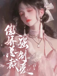 傲娇总裁强制爱免费阅读全文，主角秦兴苏云芝小说完整版最新章节-二筒文学网