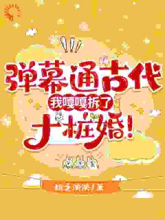 沈霜羽叶晴小说弹幕通古代，我嘎嘎拆了十桩婚！完整章节