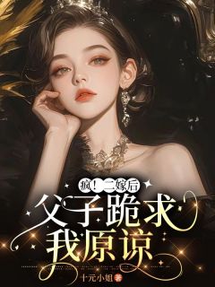 疯！二嫁后，父子跪求我原谅宁桑陆淮之免费阅读-疯！二嫁后，父子跪求我原谅十元小姐小说-二筒文学网