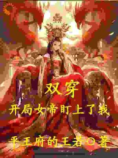 王宸柳玲珑小说双穿：开局女帝盯上了我免费阅读-二筒文学网