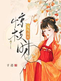 (精品)飞鸟自有惊枝时小说