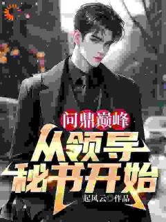 问鼎巅峰：从领导秘书开始(起风云小说)小说最新章节