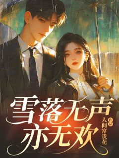 雪落无声亦无欢未删减阅读
