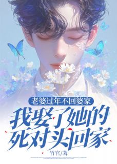 热门小说老婆过年不回婆家，我娶了她的死对头回家完整版全文阅读