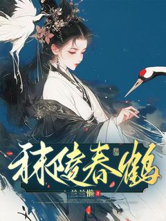 秣陵春鹤(江锦安陆清渊)全文完整版阅读